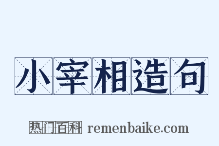 小宰相造句是什么意思的图片